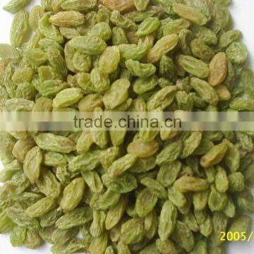 Xinjiang Sun Dried Green Raisin With Good Quality
