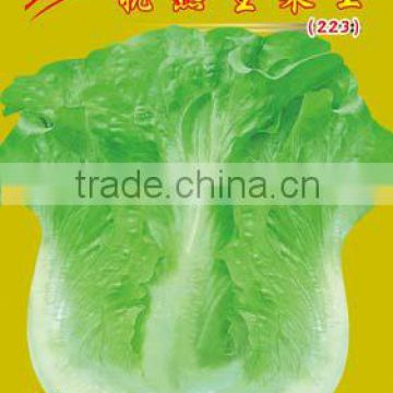 2016 Chinese vegetable hybrid half round lettuceLettuce Seed for Growing-lettuce 223