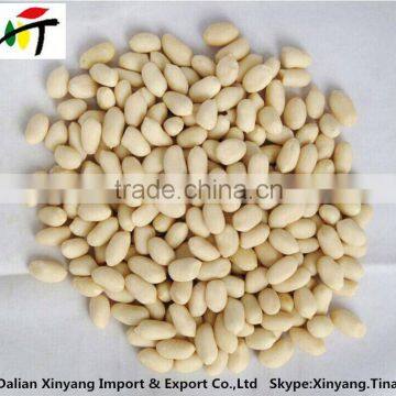 chopped blanched peanuts/shandong roasted java blanched peanut/chinese new crop blanched peanut