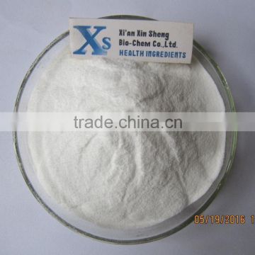 GMP Kosher Natural chitosan Powder