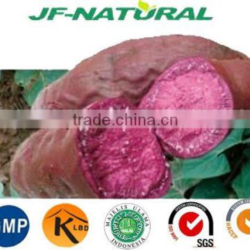 100% natural Purple Sweet Potato Extract manufacture ISO, GMP, HACCP, KOSHER, HALAL certificated