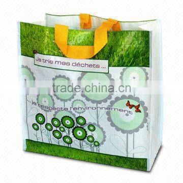 pp nonwoven gift bag