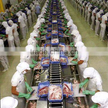 HUAYU Fish processing and segmentation line