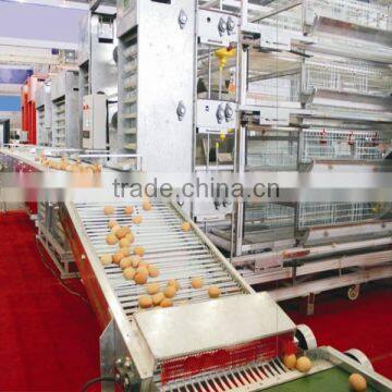 High quality egg collect machine for chicken
