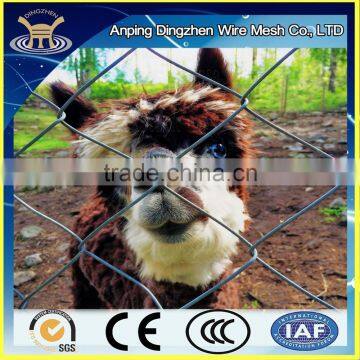 Safety galvanized and PVC coated Zoo animal cages wire mesh