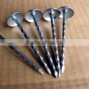 umbrella head roofing nails