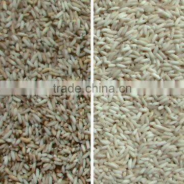 China Best Mini Rice Color Sorter 4 T/h Small Rice Color Selector photo-3