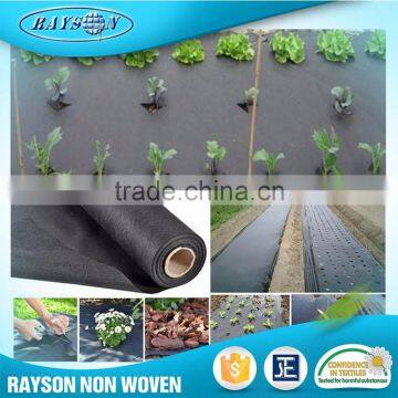 17~70g/m2 Biodegradable Weed Control PP Non Woven Weed Mat photo-5