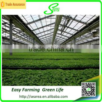 commercial polycarbonatge hydroponics greenhouse shade green house design