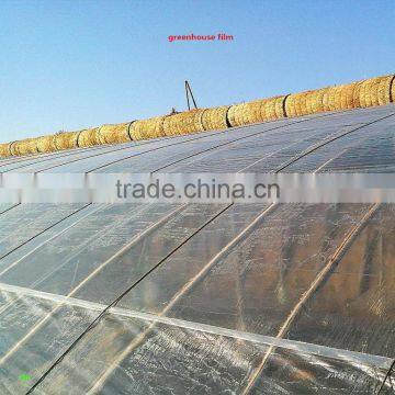 New Discount !!LDPE Agricultural Film/LDPE Agricultural Film for Greenhouse Film/greenhouse Film photo-2