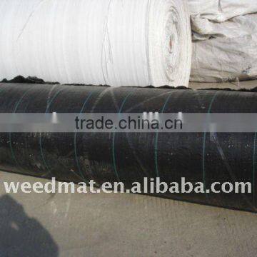 Heavy Duty Plastic Gardening Fabric Cover photo-2