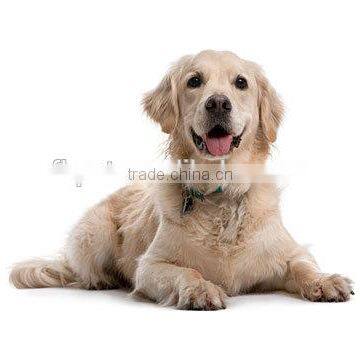 Menu Mix Diet Pet Food Dog Food photo-3