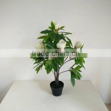 Factory Direct Sale Ornamental Fake Magnolia Flower Tree photo-5