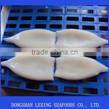 Frozen Seafood Squid Tube photo-2