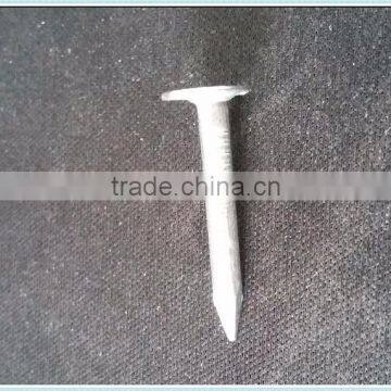 HOT!roofing Coil Nails photo-2