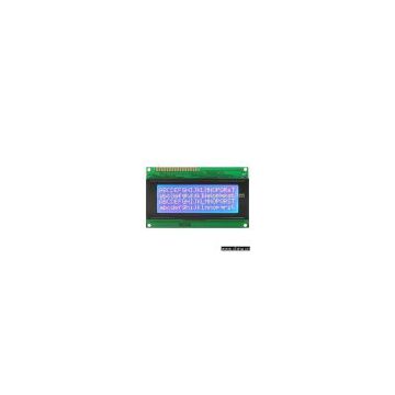 Character LCD Module