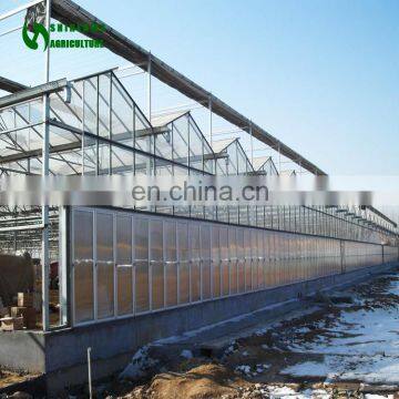 Greenhouse Glasshouse Supplier From China With High Quality