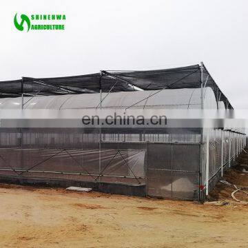 Classic Commercial Plastic Film Greenhouse/Garden Greenhouse for Sale photo-5