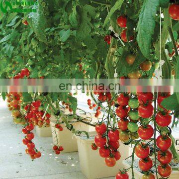 Agricultural Greenhouse Hydroponic Channels Set hydroponic growing systems