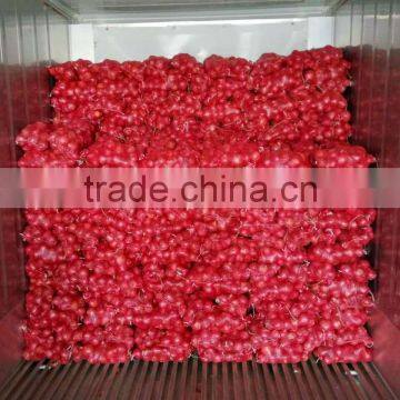 2016 Spring Onion Price Red/Yellow/White Onion
