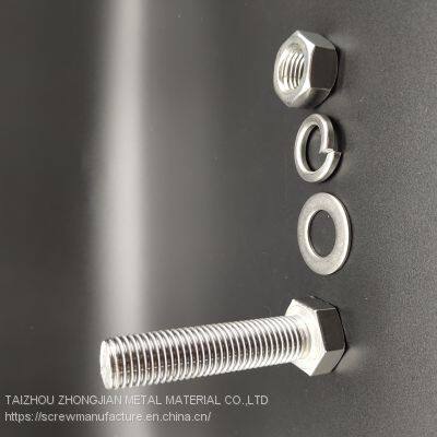 Stainless Steel Hex Bolt M8*65