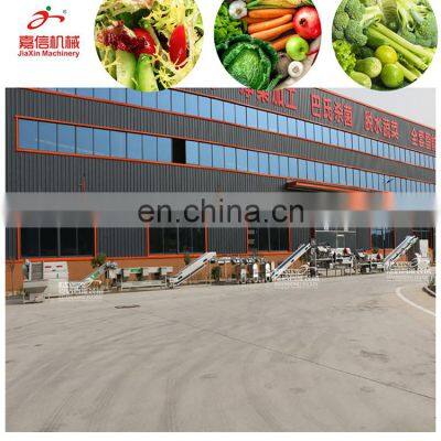 Industry Used Vegetable Processing Machine