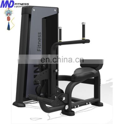 Merry Christmas Discount commercial gym use fitness sports workout FH85 Abdominal/Back extension