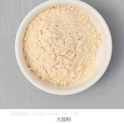 Onion powder CN