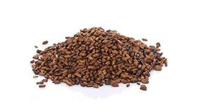 Cassia seed extract