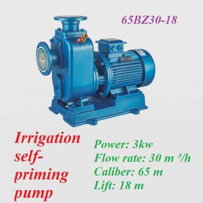 Centrifugal Pump Irrigation Self-priming Pump photo-3