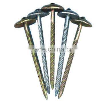 Roofing Nails