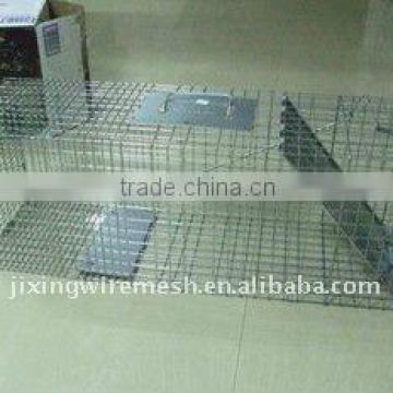 Raccoon Cage Trap