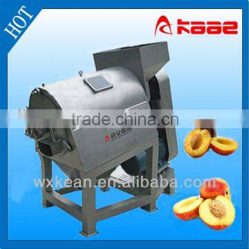 Fruit Seed Washing Machine