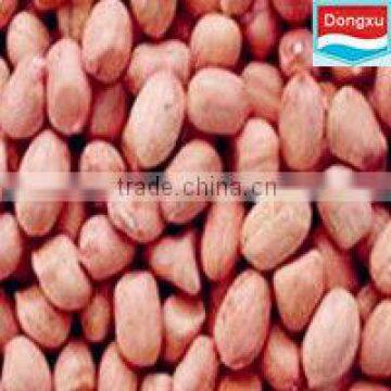 60/70 peanut kernel