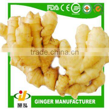 2014 new crop market price for fresh ginger export to US market