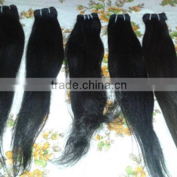 Weft Human Hair Extension , Indian Human Hair