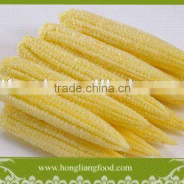 Delicious baby corn cuts