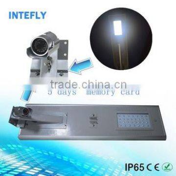 Integrated 20 watt solar power garden decorative lights