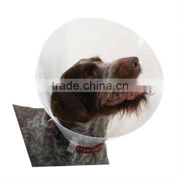 Elizabeth Collar for Dogs