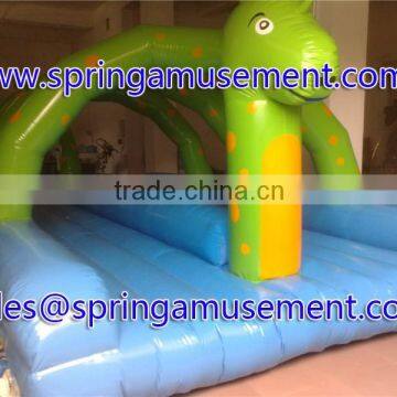 Hot Seller Inflatable Water Games Water Slide for Kids SP-WG10026