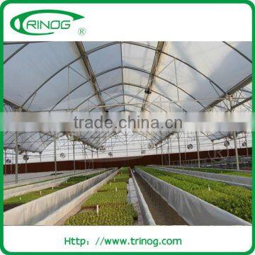 NFT Hydroponics Cultivation System for Lettuce