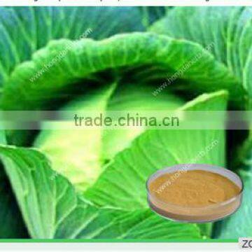 Cabbage powder