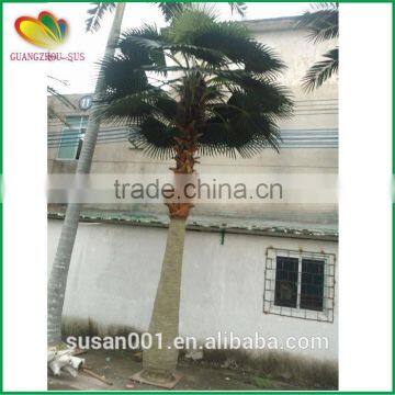 SUS Artificial Palm Tree Fiberglass Artifcial Palm Tree