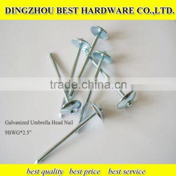 Umbrella Head Roofing Nail photo-4