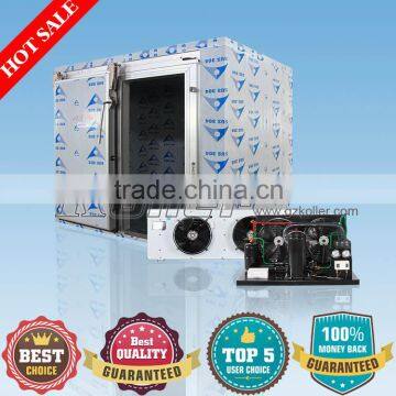 Commercial Modular Freezer Cold Room with 20CBM for Meat storage VCR20