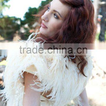 ZPDECOR No.1 Feather Supplier Feather Size 15-20 cm Beige Ostrich Feather Fringe photo-5