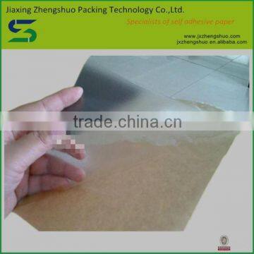 Free samples adhesive transparent pet kraft liner paper