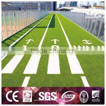 Special Hot Selling Landscape/Soccer/Futsal Court Grass/Playground Turf