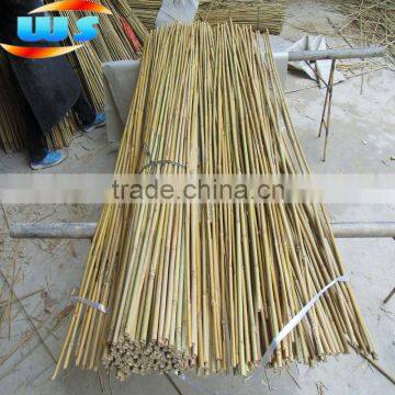 Bamboo Garden Supplies/Green garden bamboo canes 180cm 12/14