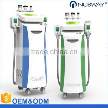 Fat Melting Advanced Cryotherapy Two Handles Work Together Cryolipolysis/cryotherapy Slimming Machine Weight Loss